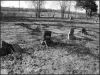 Lambeth Cemetery-Maries County, MO